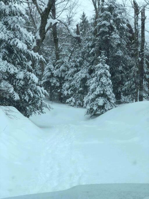 Chalet L'Erable Mont-Tremblant/Lac Superieur & Spa 외부 사진