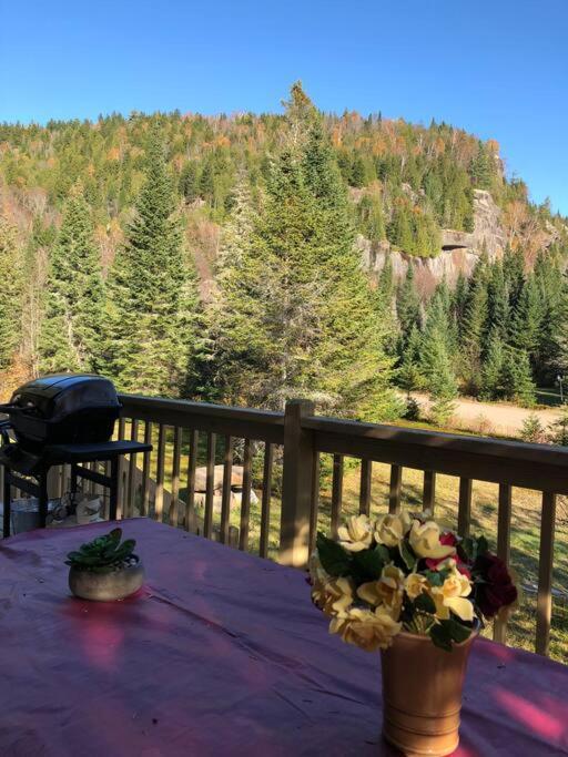 Chalet L'Erable Mont-Tremblant/Lac Superieur & Spa 외부 사진
